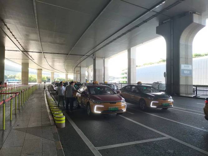 暑运期间本市查处出租车违法违规行为2600余起
