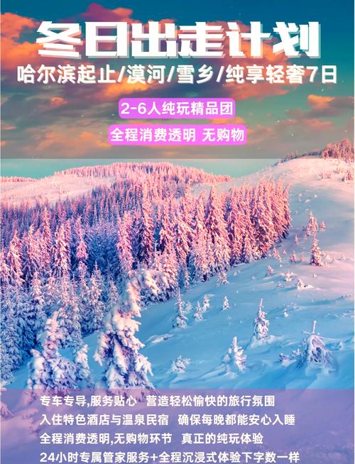 （文化新纪行）“南国雪乡”冬游热 中外游客沉浸式体验“西岭千秋雪”