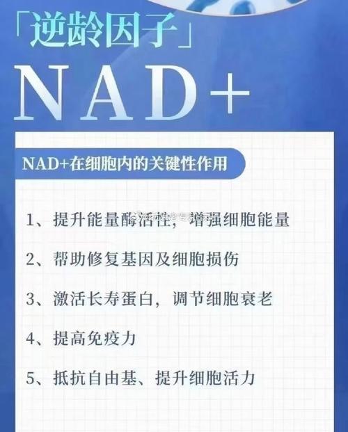 促进生育的基因突变会缩短寿命