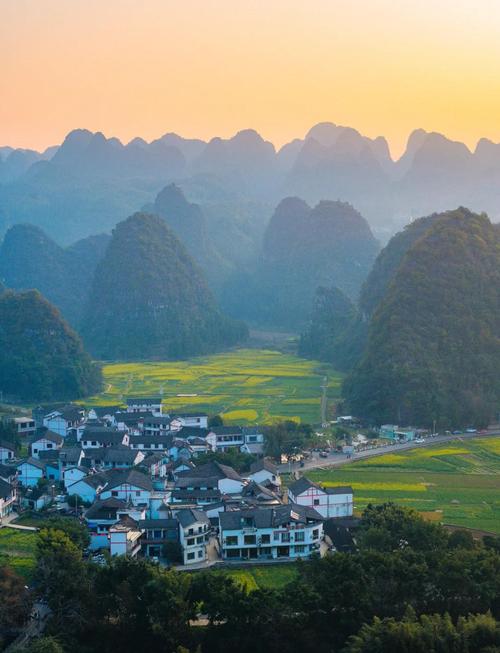 贵州:油菜花海绽春光