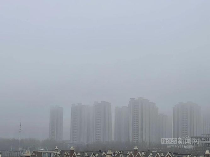 黑龙江省七台河市发布大雾黄色预警_3