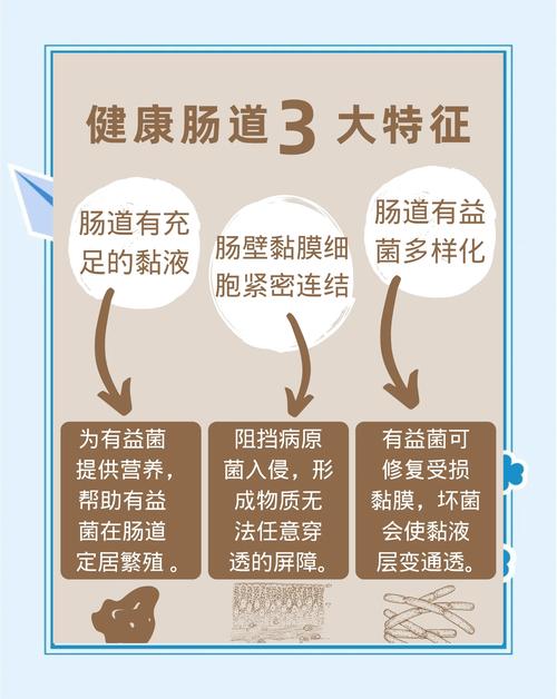 肠健康才能常健康，这些“肠”识要知道！