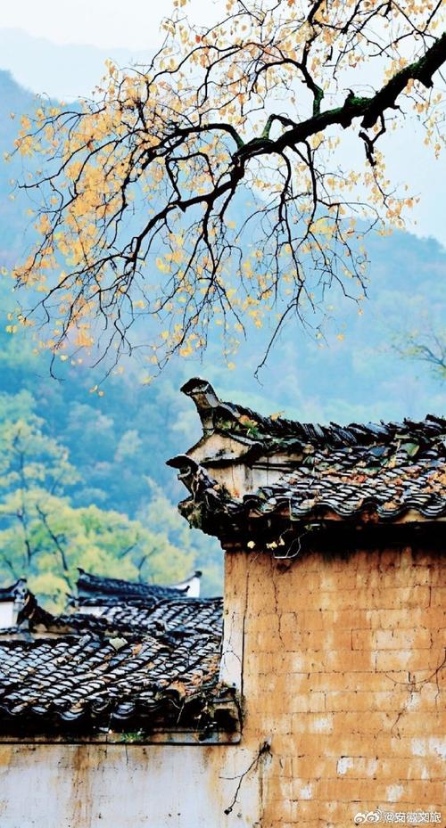 错落有致的民居与山峦、道路、晨雾等在朝阳的照射下相映成景