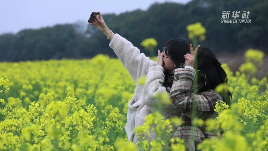 踏青赏花享春光 “春日经济”活力旺