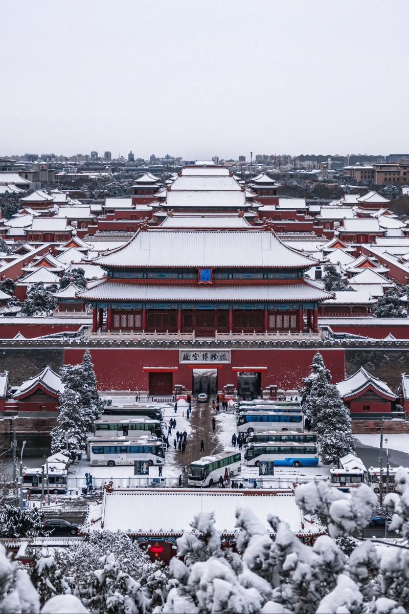 龙年首场大雪!北京各公园雪景抢“鲜”看