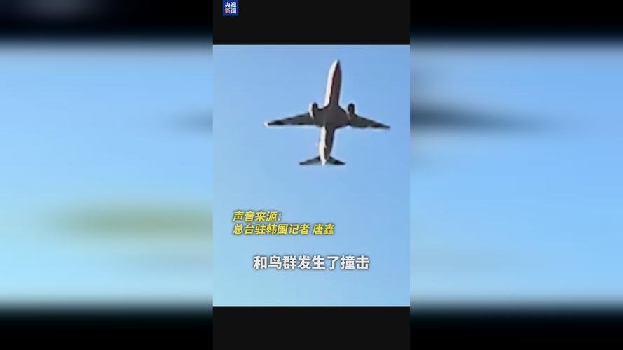 韩国交通部:客机失事前或因时间不够 无法提前部署消防队