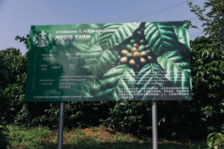 首届链博会丨从生豆到咖啡 星巴克的中国供应链之路