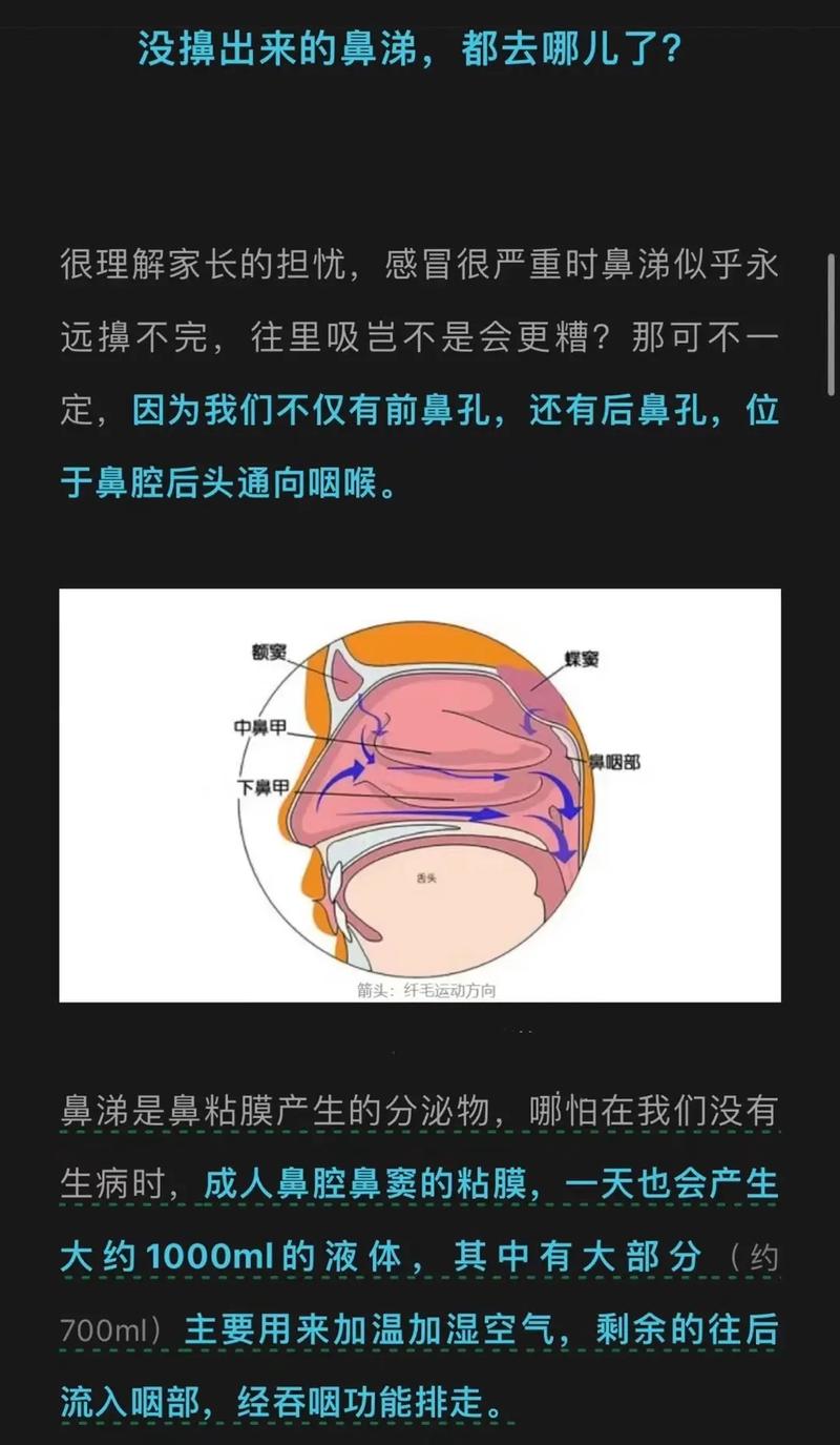 那些没擤出来的鼻涕,都去哪儿了?