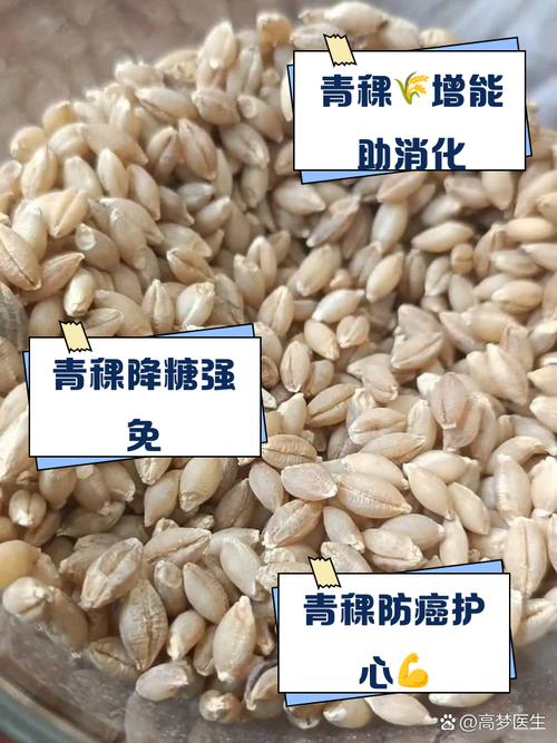 西藏拉孜县青稞种植用上数字化系统——“数据给我们种好地添了底气”
