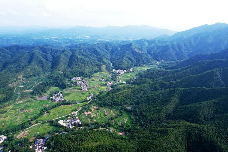 (乡村行·看振兴)“山区”大转型 江西信丰稻田里“长”出个3A级景区