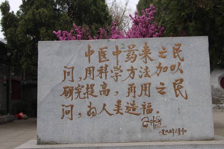 青年中医的“科研路”:“尝百草”探良方 医者心促转化
