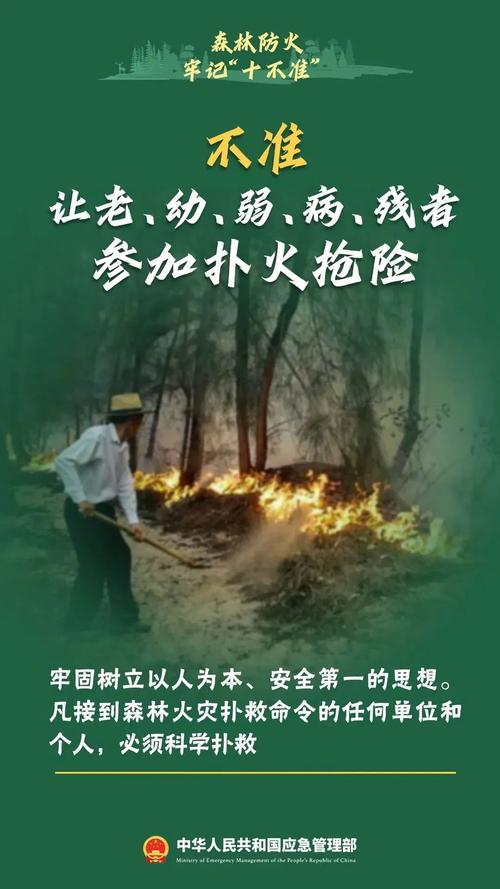 广东省高州市发布森林火险黄色预警_3
