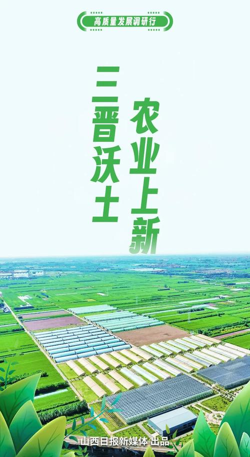 高质量发展调研行丨这里的高山蔬菜“高”在哪?