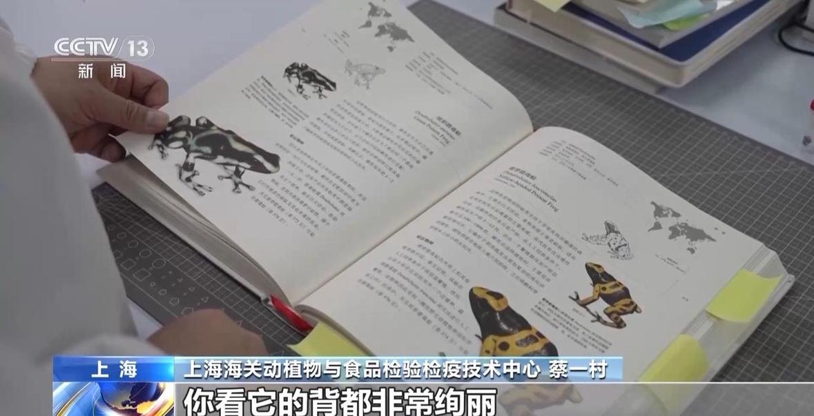 海关科普:“异宠”谨慎宠