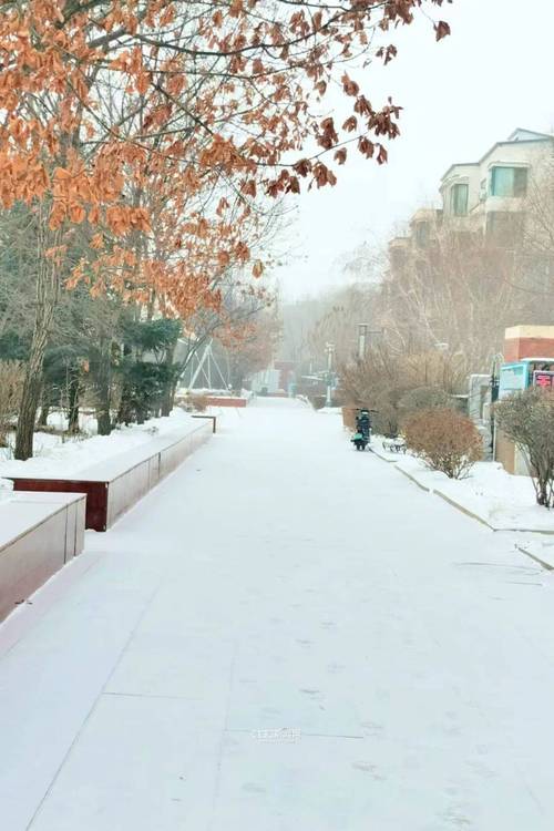 黑龙江省逊克县发布道路冰雪黄色预警_4