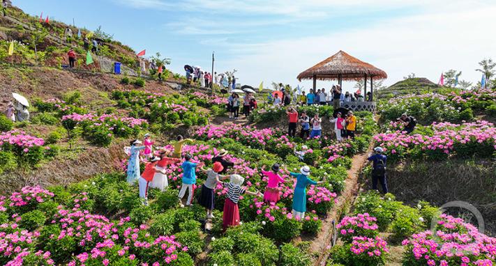 青海省海东市乡村旅游赏花踏青拉开序幕 19万游客带来旅游收入4461万元
