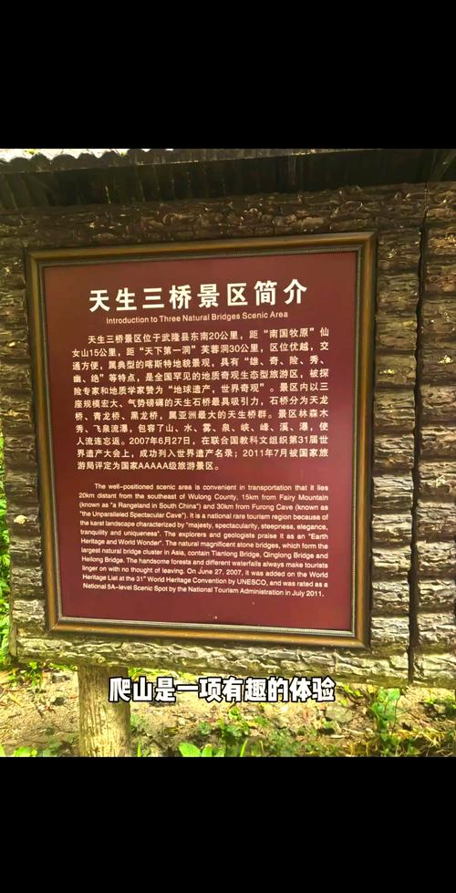 行走川渝 看两地携手奋进的坚实足迹