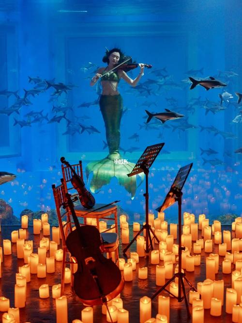 长沙海底世界首开夜场!12月24日举办“海底星光音乐会”