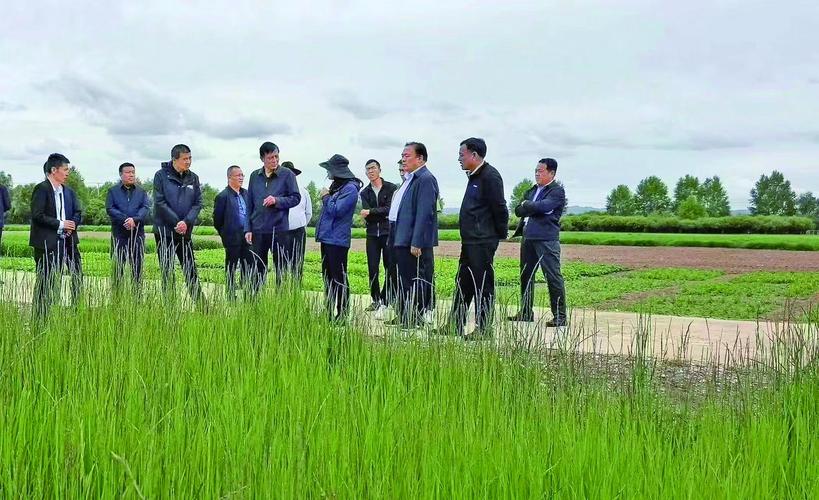 青海化隆:土地种植新模式 助力乡村振兴
