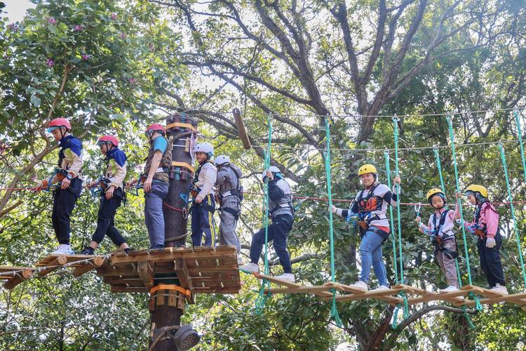 广州5000余名游客徒步探索自然 感受绿美生态