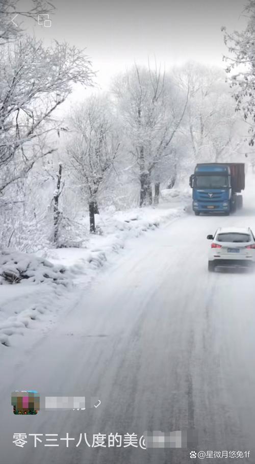 雪纷飞!黑龙江黑河伊春等地未来三天雨雪在线 部分地区有大雪