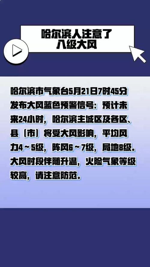 黑龙江省巴彦县发布大风蓝色预警_7