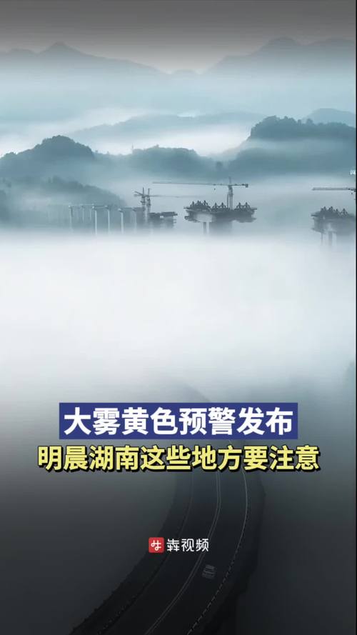 安徽省滁州市发布大雾黄色预警_1