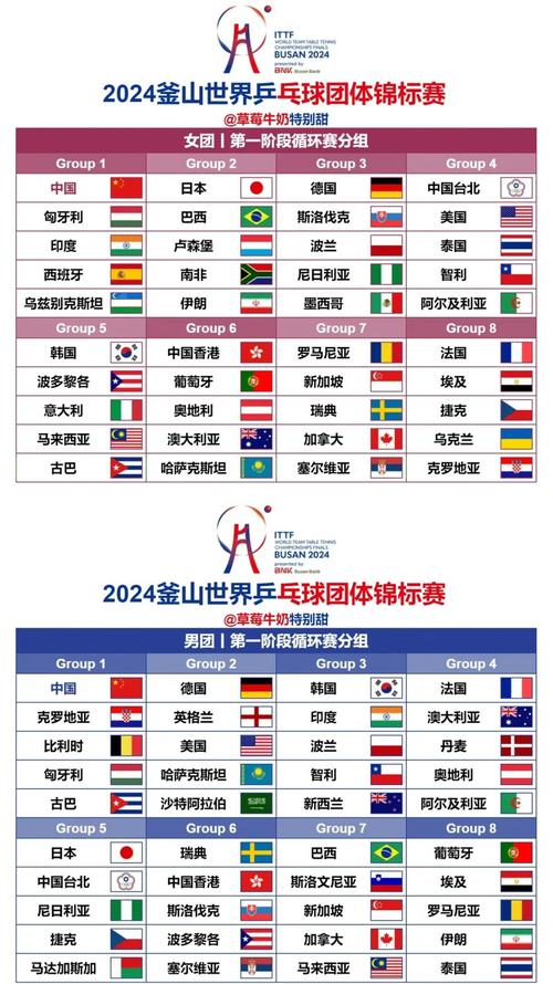 乒协确认世乒赛团体赛国乒名单