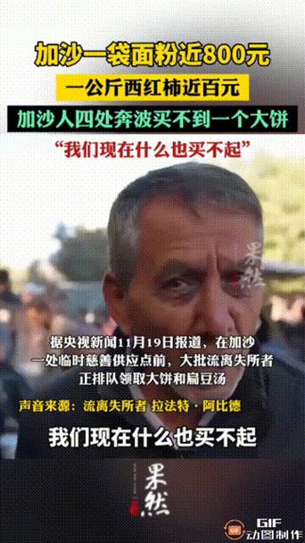 联合国难民署:全球1.2亿人流离失所 75%加沙人无家可归