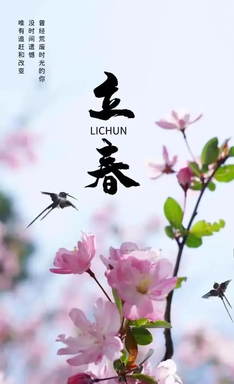 兔年的第二个立春来了!二十四节气开启新轮回