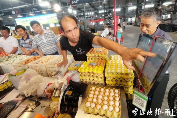 相当于184个足球场!这是生活中的超级“菜篮子”