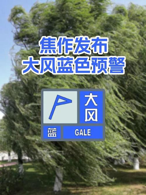 河南省确山县发布大风蓝色预警_5