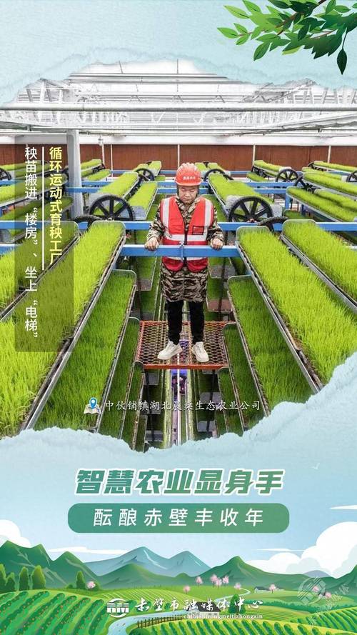 让更多种子装上“中国芯” 看科技如何赋能农业生产