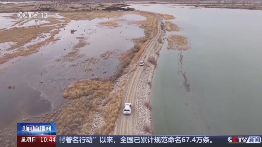 黑河湿地首次发现“鸟中国宝”东方白鹳