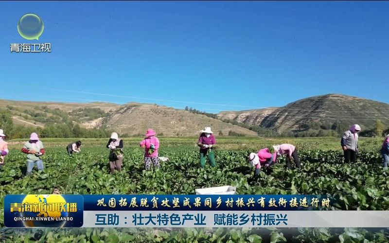 青海脱贫攻坚成果有效巩固