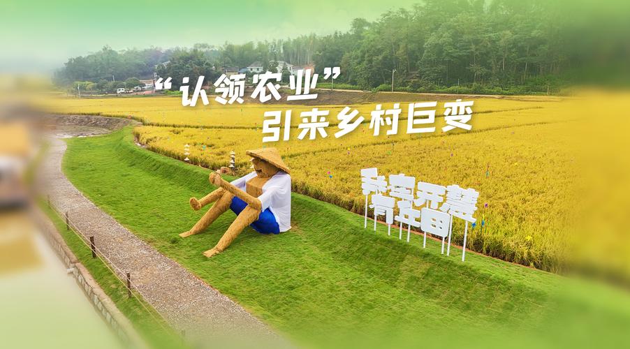 超八成受访青年对我国实现农业农村现代化更有信心了
