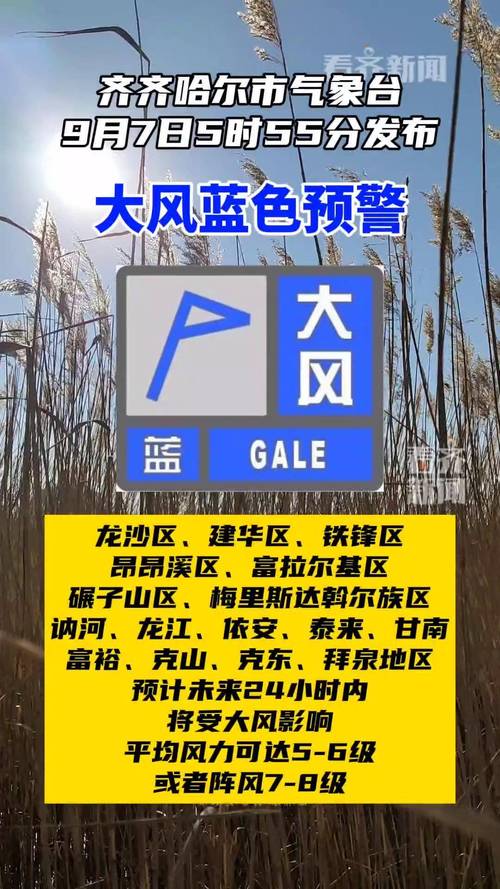 黑龙江省双鸭山市发布大风蓝色预警_9