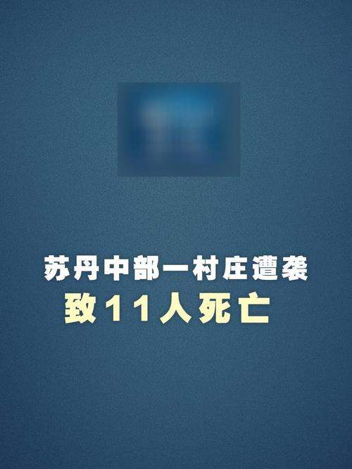 苏丹中部一村庄遭武装分子袭击 致14人死亡