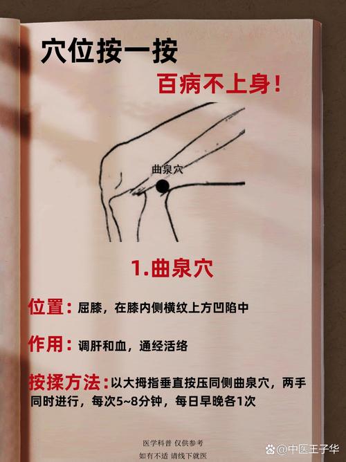 身上有4个“补阳开关”!一按一揉,腰背不痛、睡觉特香
