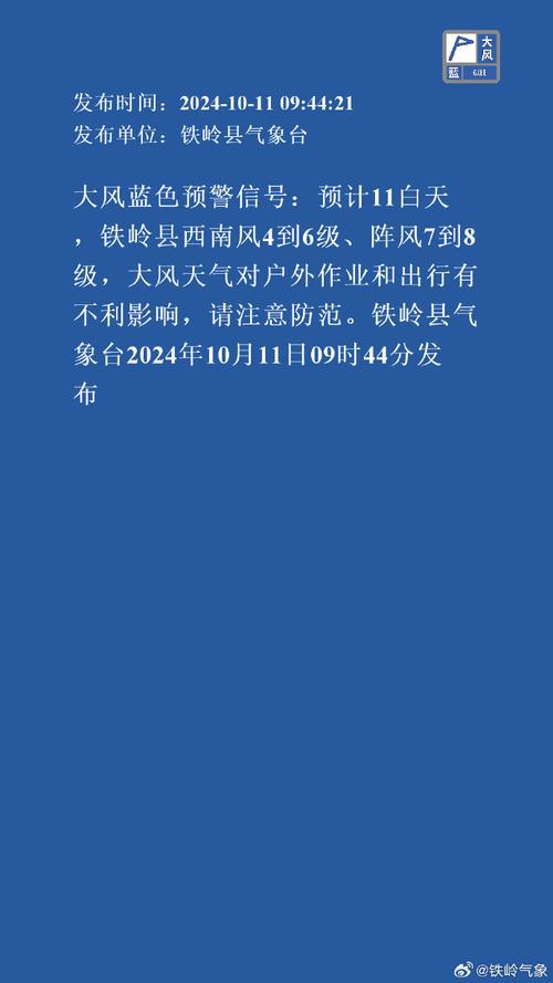 黑龙江省鹤岗市发布大风蓝色预警_5