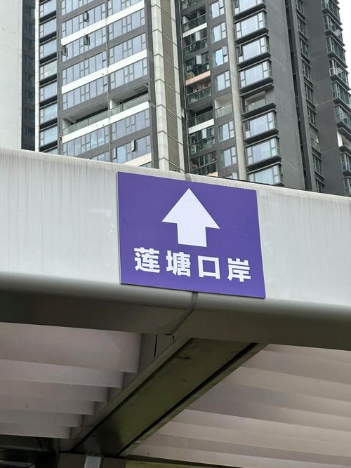 莲塘口岸免费接驳线直达大梅沙奥特莱斯
