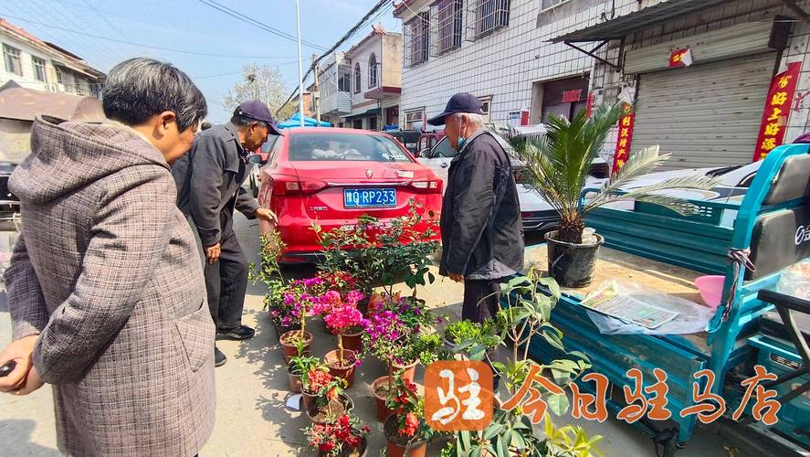 (乡村行·看振兴)河南遂平:玉山凉粉 “调”出致富路