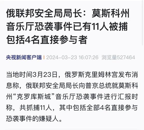 俄进入全国哀悼日 救援行动结束 嫌疑人被审 莫斯科恐袭事件最新情况→