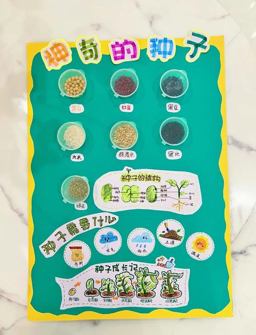 让创新的种子茁壮成长 开花结果