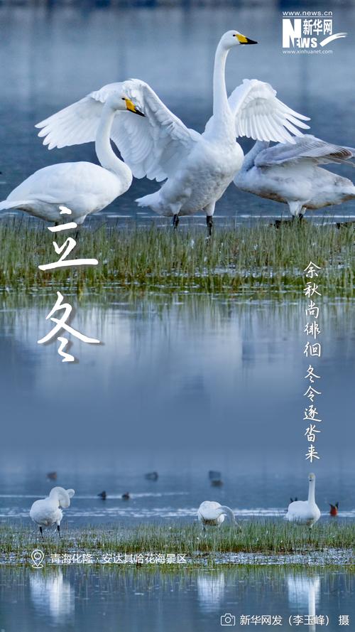 长沙飙至23℃,立冬迎来“十月小阳春”