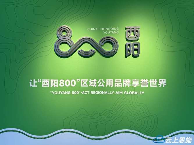 酉阳深挖海拔经济 神奇“800”赋能大山全新生命力