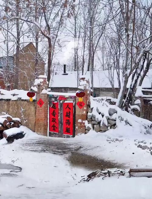 风雪寒夜访农家——记者探访吉林舒兰洪灾重建村