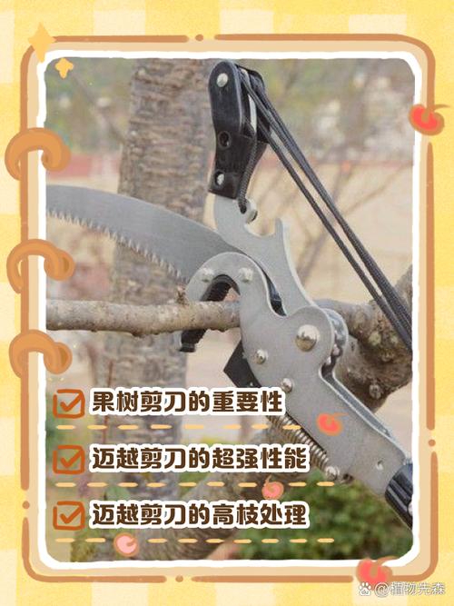 (新春走基层)乡土专家和他的一把果树剪刀