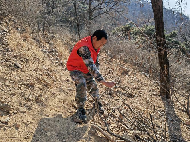 (新春走基层)24年守山护山 踏访护林人大山里的春节