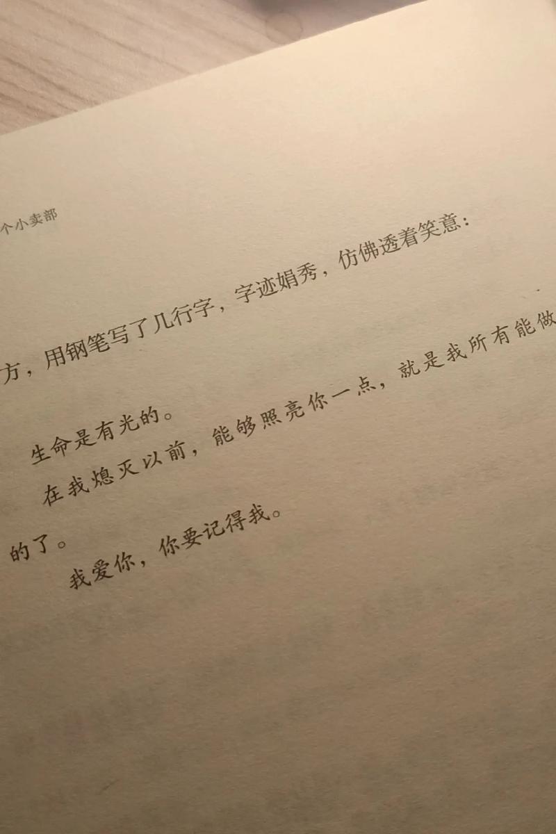 文学用爱意托举着我